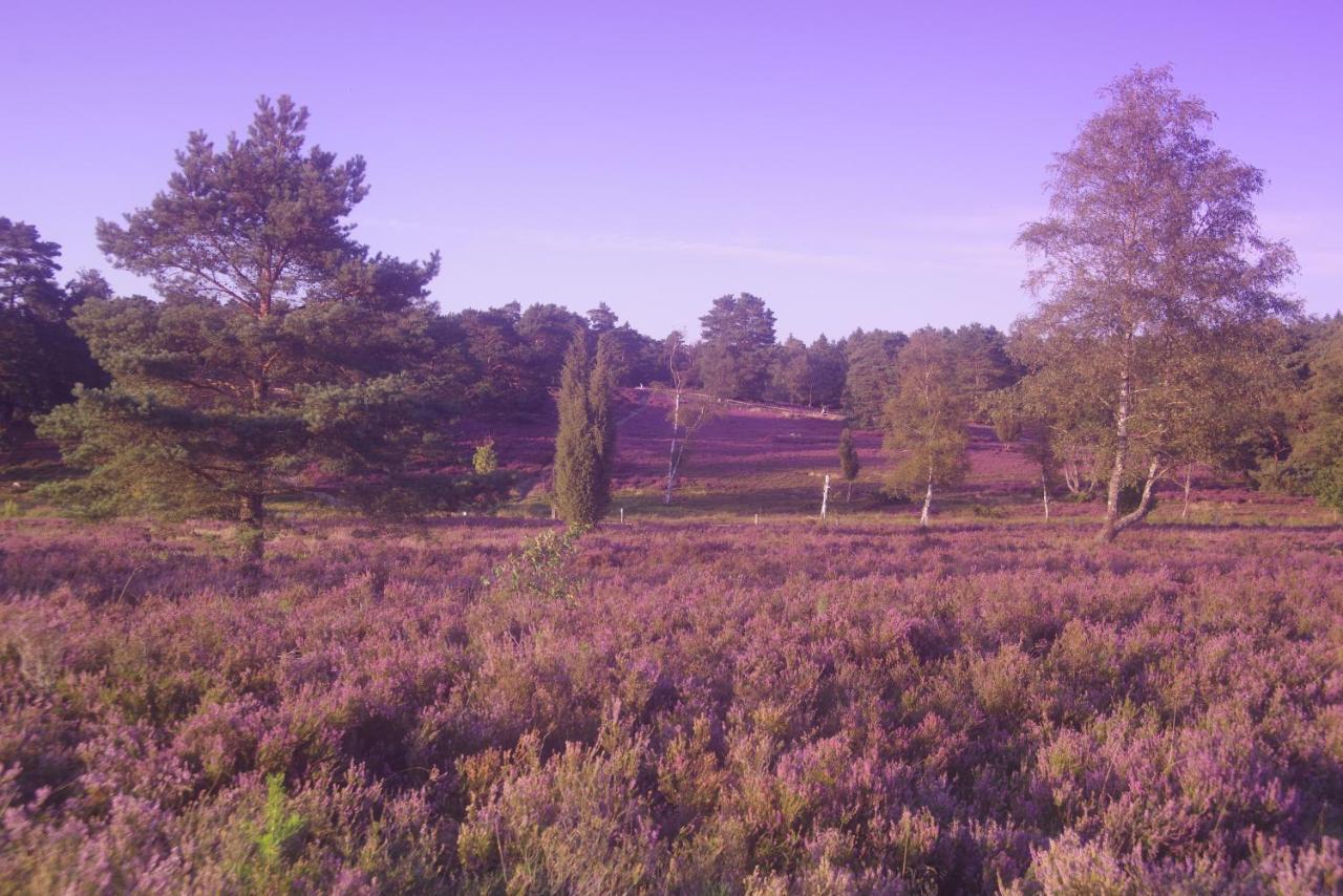 Ferienwohnung Schuur - Buchholz In Der Nordheide Bagian luar foto