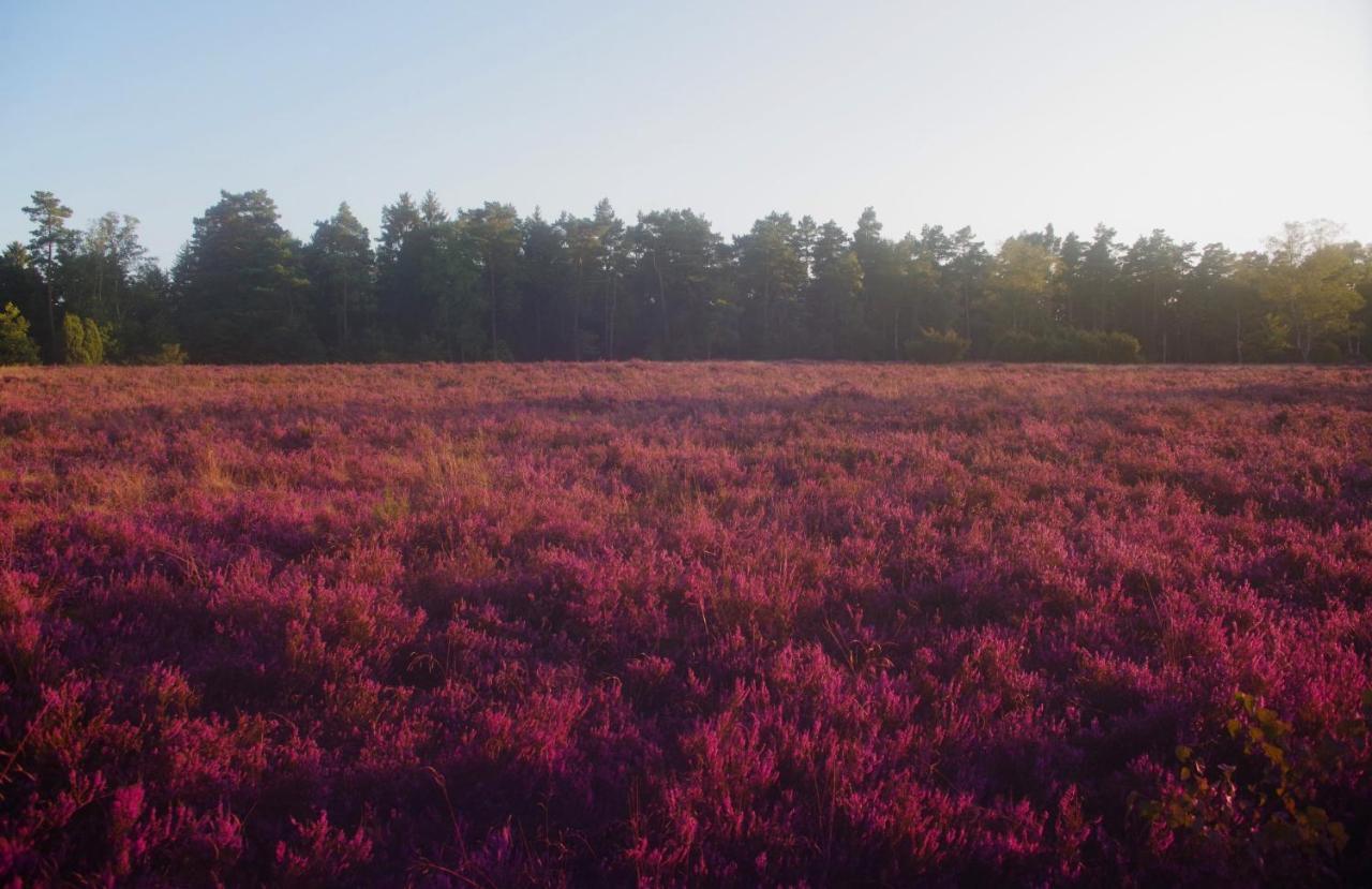 Ferienwohnung Schuur - Buchholz In Der Nordheide Bagian luar foto